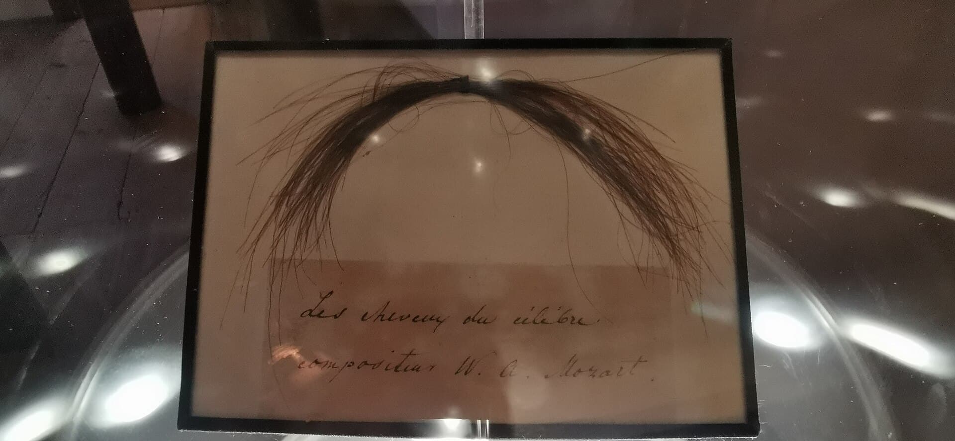 莫札特出生地博物館展出的莫札特童年髮束